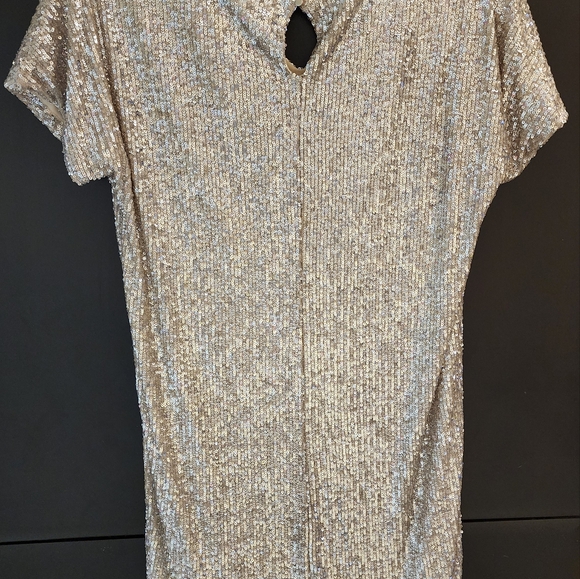 Sequin Dress - Picture 2 of 3